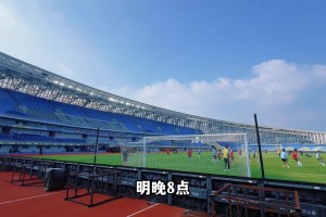 能否出战?路易斯、阿马杜跟随申花前往青岛